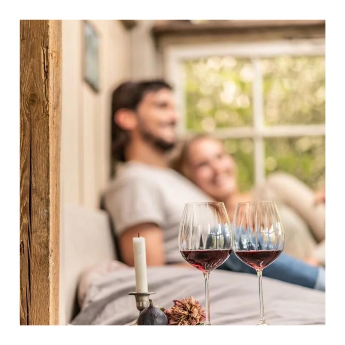 Poháre na bordeaux WINESHINE 561 ml