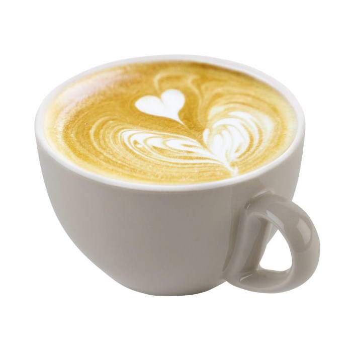 Šálka na cappuccino SNUG, 0,3 l, sivá